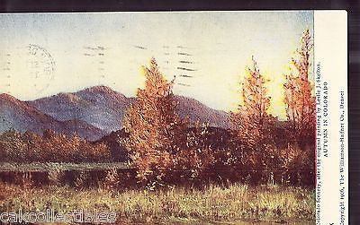 Early Post Card-Autumn in Colorado 1907 - Cakcollectibles