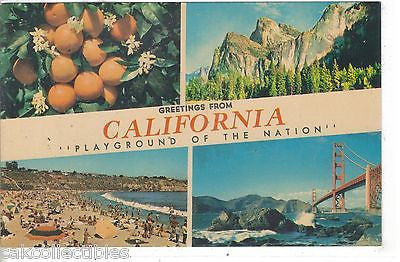 Greetings from California-Playground of The Nation - Cakcollectibles