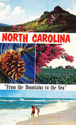 Greetings From North Carolina "from The Mountains To The Sea" Postcard - Cakcollectibles