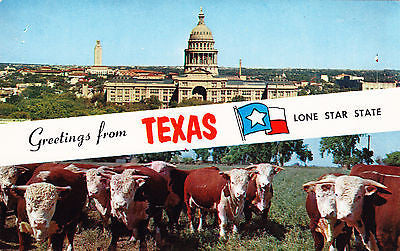 Greetings FromTexas The Lone Star State Postcard - Cakcollectibles