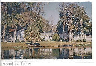 Blue Creek Lodge at the St. Johns River and Lake George-Astor,Florida - Cakcollectibles - 1
