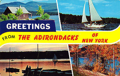 Greetings From The Anirondacks Of New York Postcard - Cakcollectibles