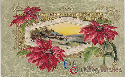 Best Christmas Wishes Pointsettia John Winsch Postcard - Cakcollectibles