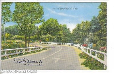 Greetings from Espyville Station,Pennsylvania on Pymatuning Lake - Cakcollectibles