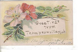 Greetings from Thompsonville,Michigan Postcard Front