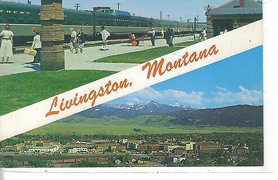 Upper View, Livingston, Montana - Cakcollectibles