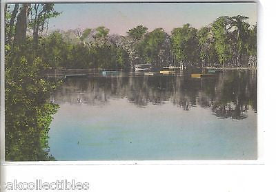 Glass Bottom Boat and Bathing Floats-Wakulla Springs,Florida (Hand Colored) - Cakcollectibles