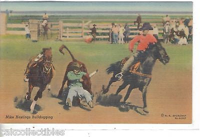 Mike Hastings Bulldogging (Linen Post Card) - Cakcollectibles