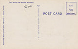 Royal Ontario Museum, Toronto, Canada Postcard - Cakcollectibles - 2