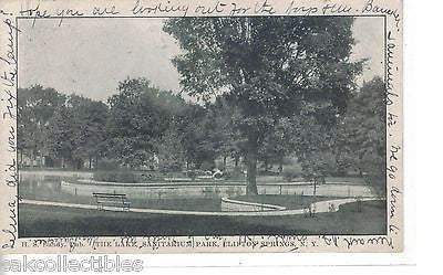 The Lake,Sanitarium Park-Clifton Springs,New York  1907 - Cakcollectibles - 1