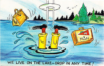 We Live On The Lake Comic Postcard - Cakcollectibles