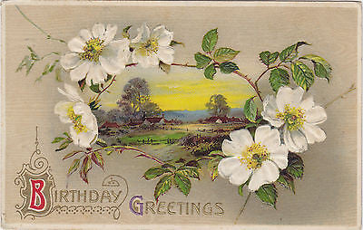 Birthday Greetings John Winsch Designed Postcard - Cakcollectibles