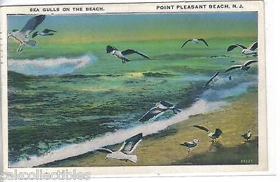 Sea Gulls on The Beach-Point Pleasant Beach,New Jersey 1938 - Cakcollectibles