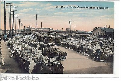 Cotton Yards-Cotton Ready For Shipment - Cakcollectibles