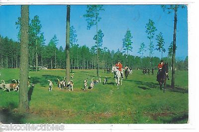 Fox Hunting with Moore County Hounds-Southern Pines,North Carolina - Cakcollectibles