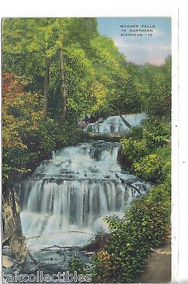 Wagner Falls in Northern Michigan 1961 - Cakcollectibles