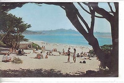 View of Carmel Beach-Carmel,California Vintage Postcard Front