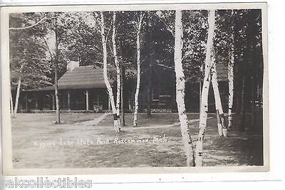 RPPC-Higgins Lake State Park-Roscommon,Michigan 1958 - Cakcollectibles - 1