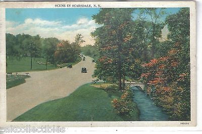 Scene in Scarsdale,New York  1940 - Cakcollectibles