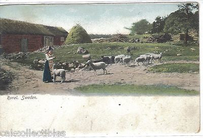 Early Post Card-Rural Sweden 1910 (Woman with Sheep) - Cakcollectibles