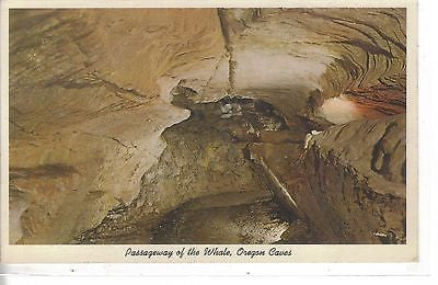 Passageway of The Whale Oregon Caves - Cakcollectibles