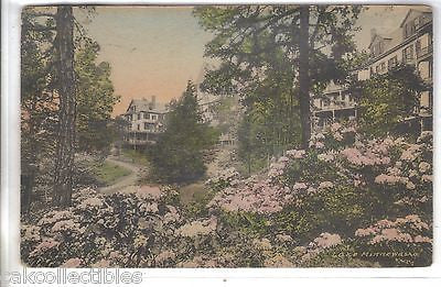 The Wildmere Lake Front in June-New York 1945 (Hand Colored) - Cakcollectibles