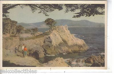 Seventeen Mile Drive on The Monterey Peninsula-California - Cakcollectibles