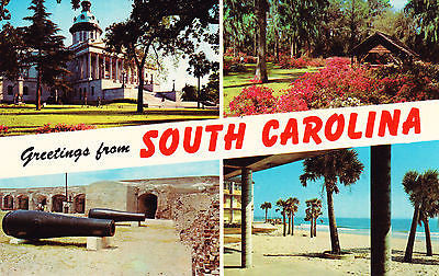 Greetings From South Carolina Postcard - Cakcollectibles