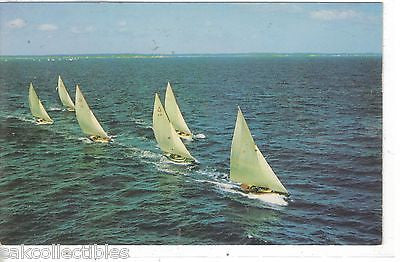 Pleasure Boats on Barnegat Bay,New Jersey - Cakcollectibles