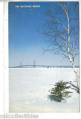 The Mackinac Bridge in Winter-Michigan - Cakcollectibles