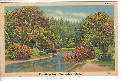 Greetings from Topinabee,Michigan 1939 postcard front