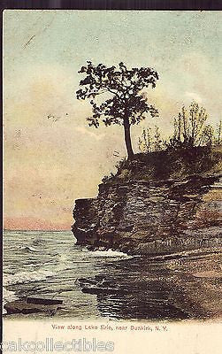 View Along Lake Erie near Dunkirk,New York UDB - Cakcollectibles