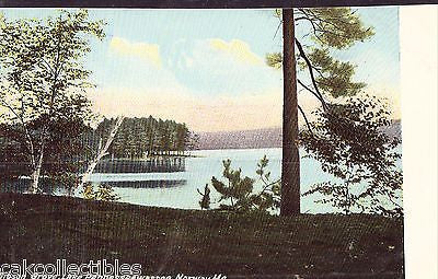 Gibson Grove,Lake Pennesseewassee-Norway,Maine UDB - Cakcollectibles