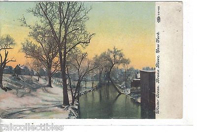 Winter Scene,Bronx River-New York 1910 - Cakcollectibles