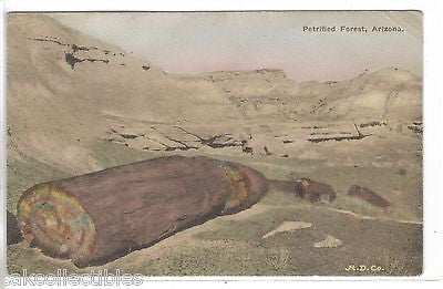 Petrified Forest-Arizona 1921 (Hand Colored) - Cakcollectibles