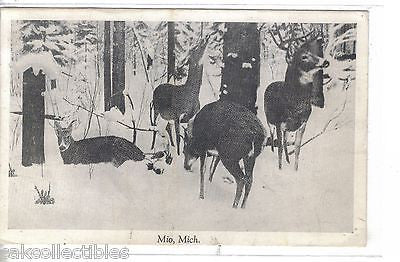 Group of Deer-Mio,.Michigan 1946 - Cakcollectibles