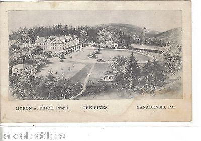 The Pines-Canadensis,Pennsylvania - Cakcollectibles - 1
