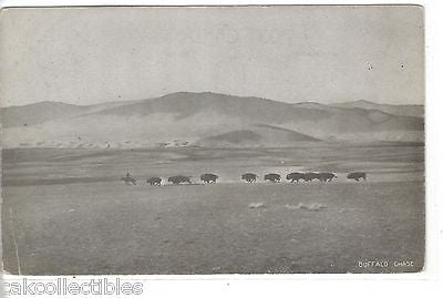 Early Post Card-Buffalo Chase - Cakcollectibles