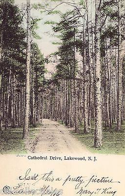 Cathedral Drive-Lakewood,New Jersey 1906 - Cakcollectibles