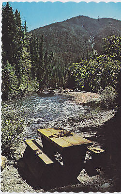 Similkameen River - Manning Park - B. C. , Canada Postcard - Cakcollectibles - 1