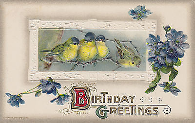"Birthday Greetings" Beautiful Birds John Winsch Postcard - Cakcollectibles - 1