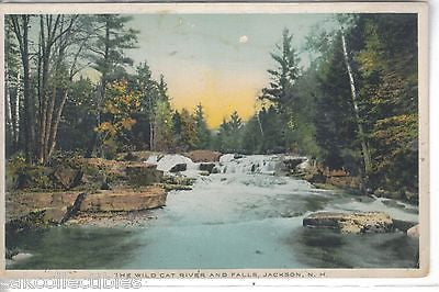 The Wild Cat River and Falls-Jackson,New Hampshire - Cakcollectibles