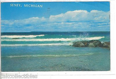 Rocks and Surf-Seney,Michigan 1960 - Cakcollectibles