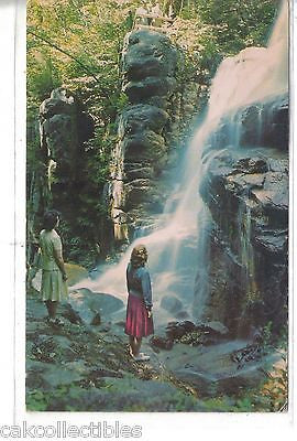 Avalanche Falls,Flume Gorge-White Mountains,New Hampshire 1965 - Cakcollectibles