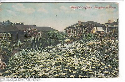 "Beautiful California" Bungalows in Winter 1912 - Cakcollectibles