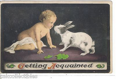 "Getting Acquainted"-Baby and Bunny - Cakcollectibles - 1