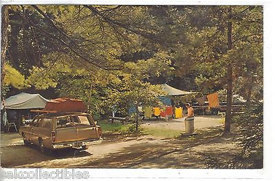 A Beautiful Campsite in New York's Adirondack Mountains 1970 - Cakcollectibles