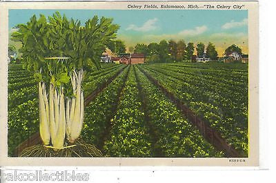 Celery Fields-Kalamazoo,Michigan - Cakcollectibles