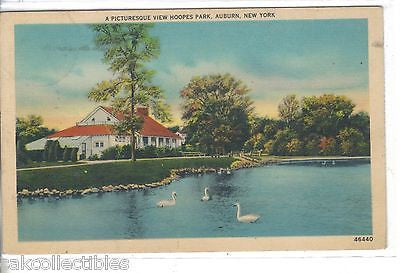 A Picturesque View,Hoopes Park-Auburn,New York 1940 - Cakcollectibles