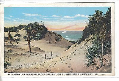 The Fascinating Sand Dunes on The Shores of Lake Michigan near Michigan City,Ind - Cakcollectibles